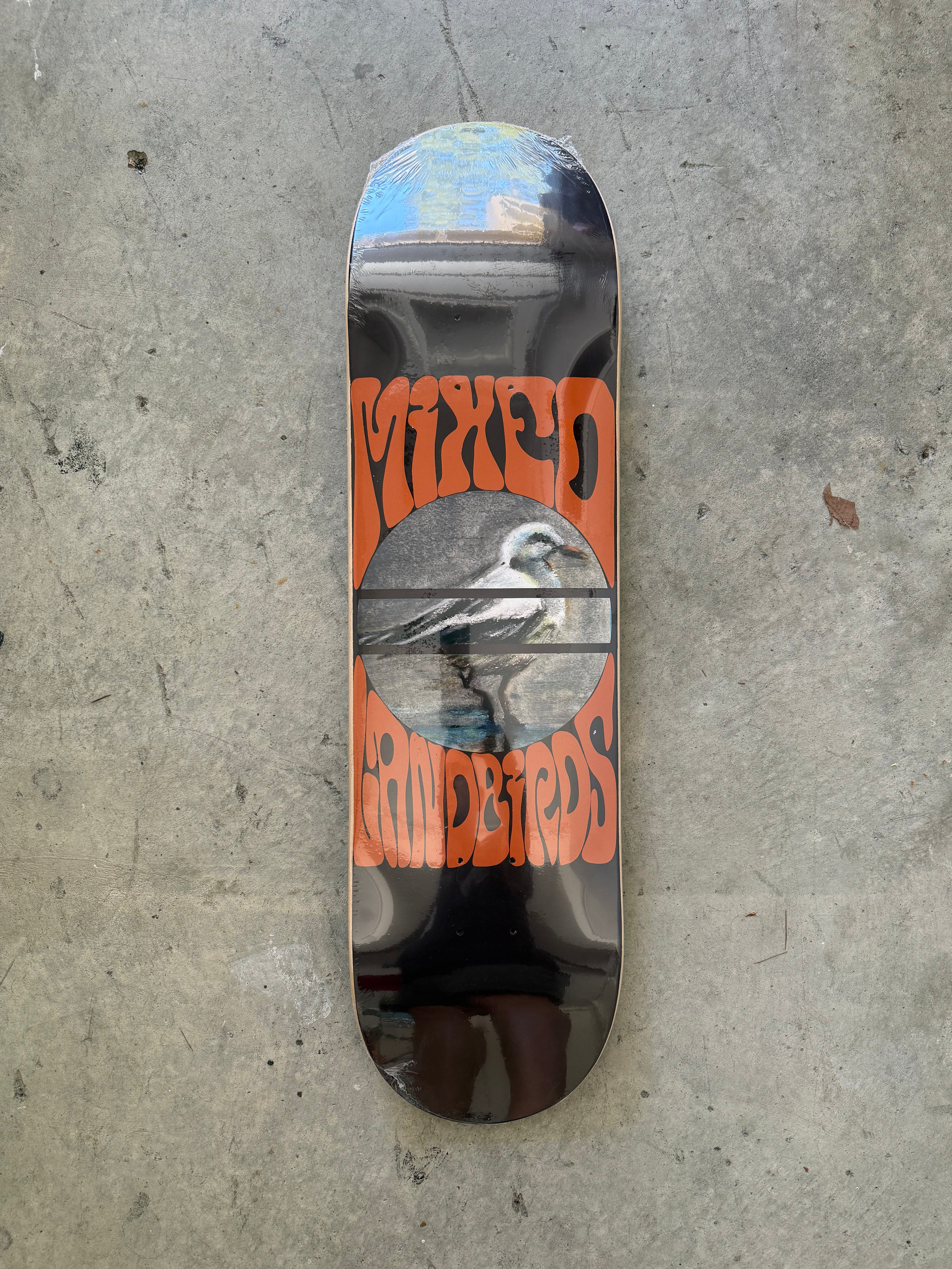 8.38 Seagull Deck