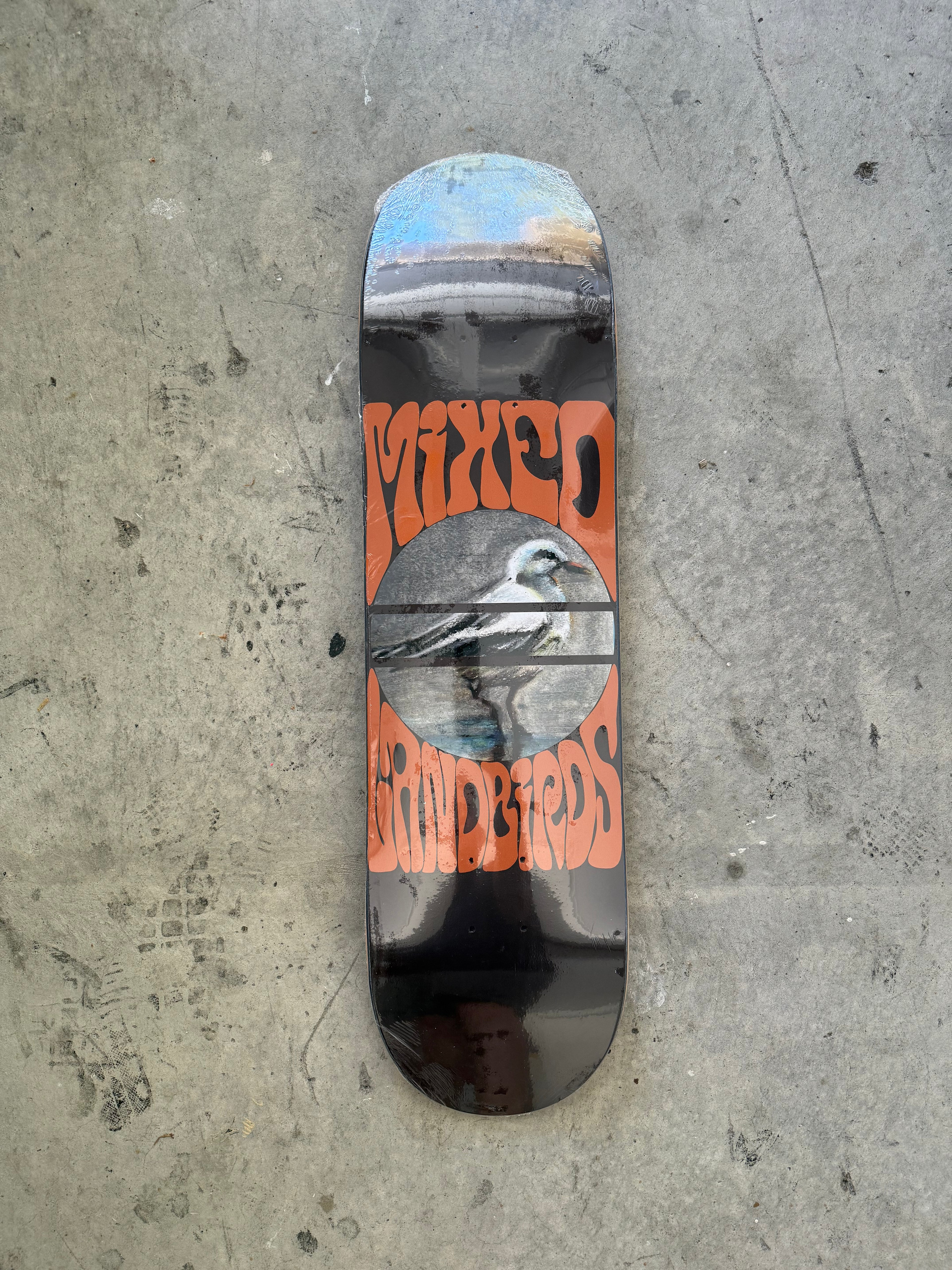 8.25 Seagull Deck